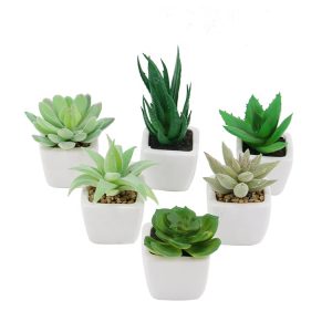 Small Desktop Fake Succulent Crops in Ceramic Pots for Workplace Ornament